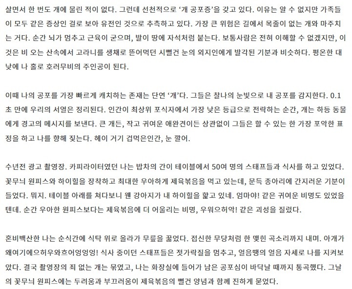 "크든 작든 개는 공포의 존재" - 개(犬) 공포증 | 인스티즈
