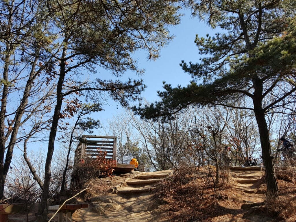 구룡산 정상 이미지
