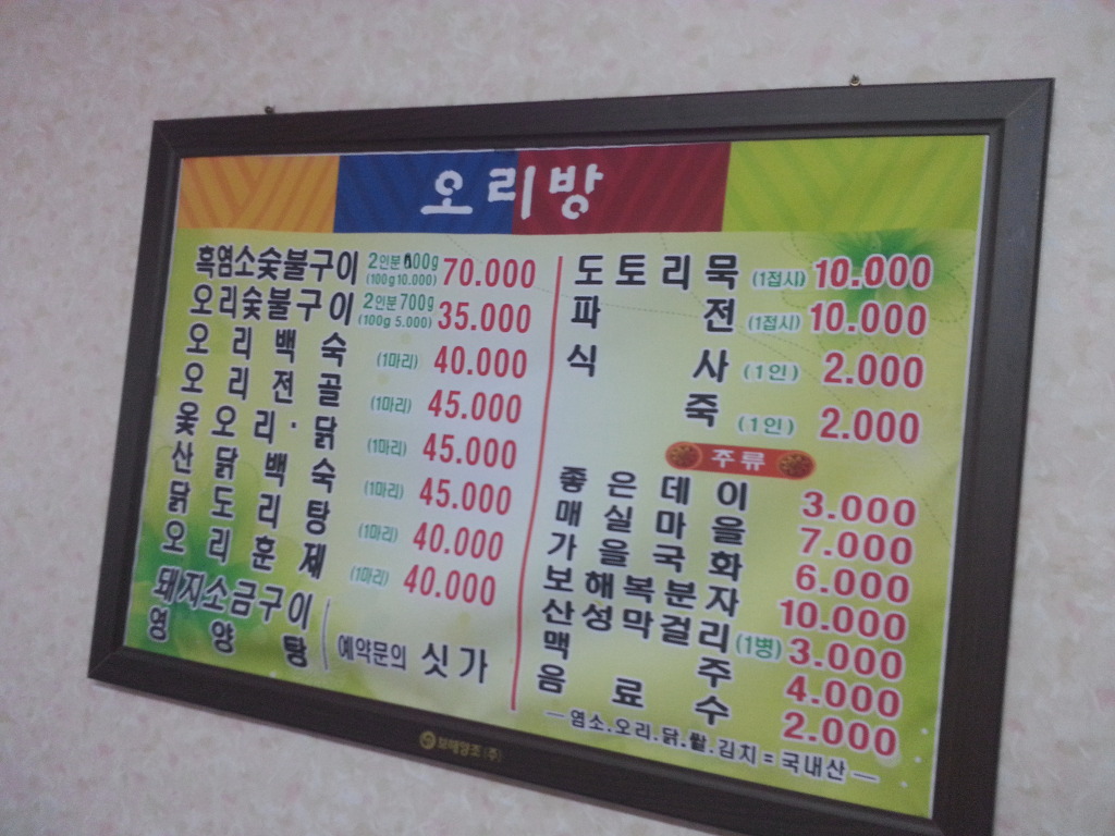 금정오리 이미지