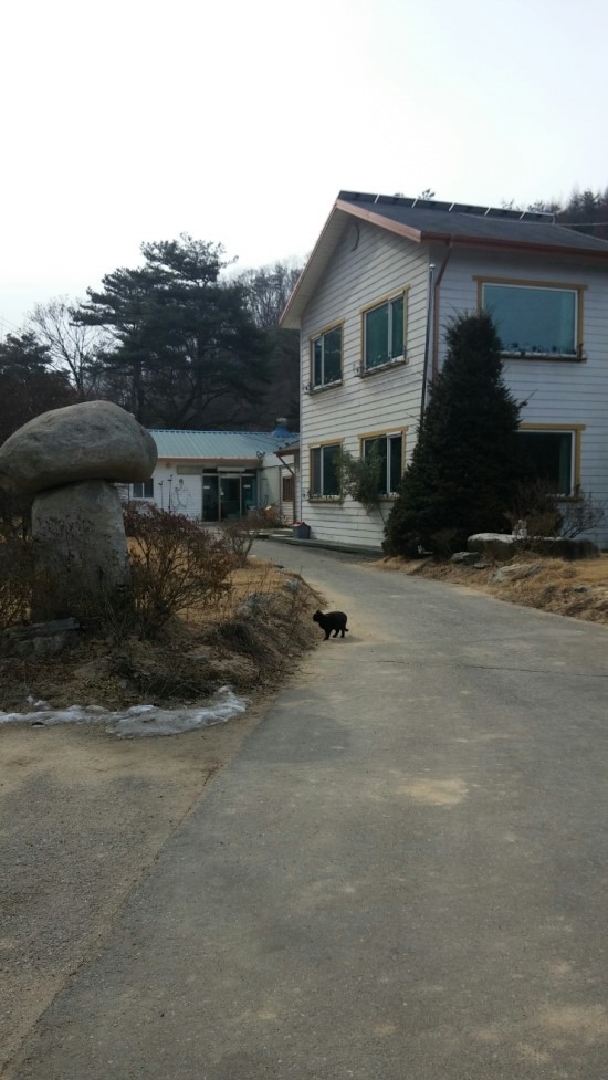 솟대길포차 이미지