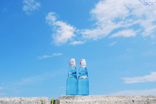  따뜻한 분위기의 일본의 봄 vs 시원하고 청량감있는 일본의 여름 | 인스티즈