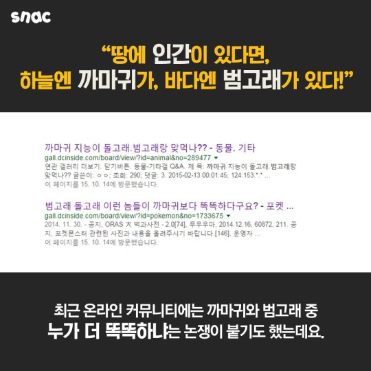 범고래와 까마귀의 지능 | 인스티즈