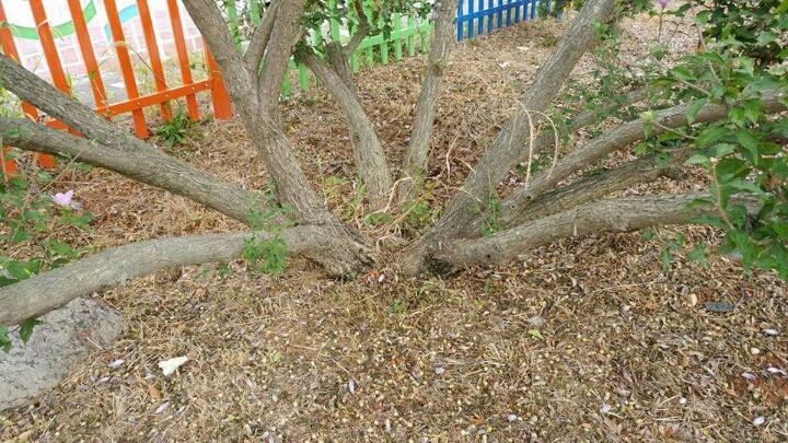현덕초등학교 이미지
