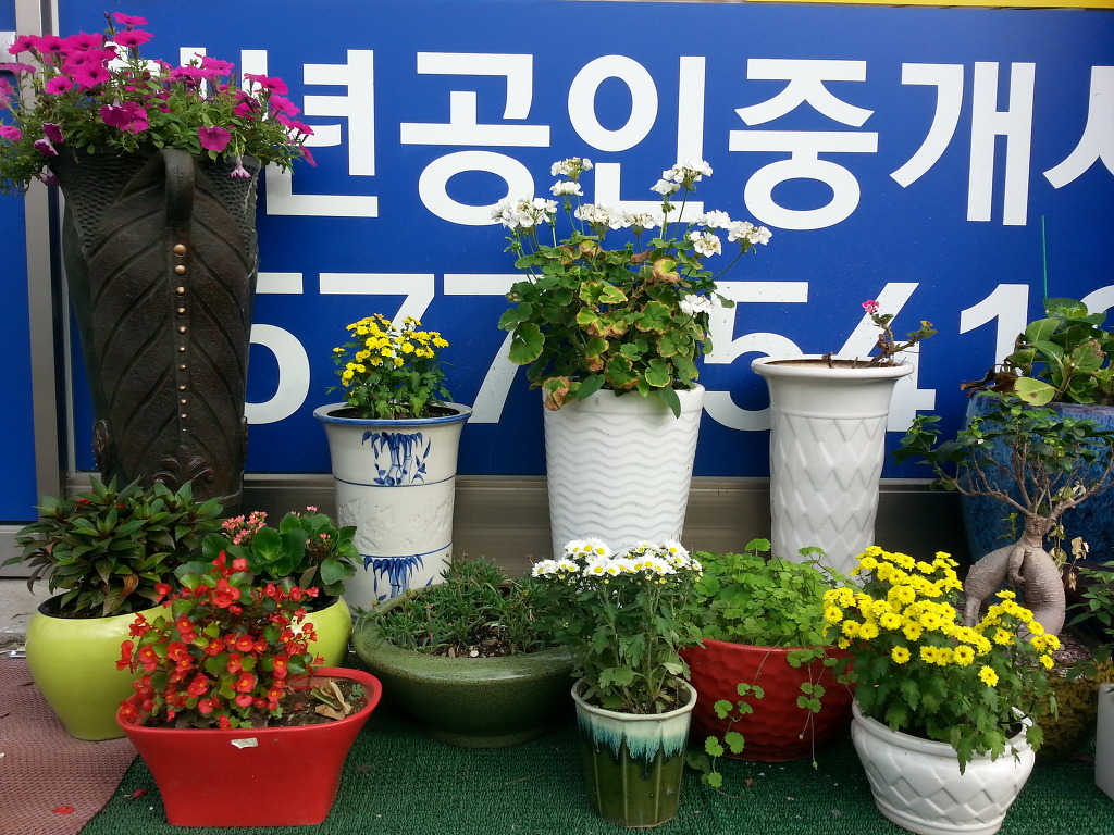 천년치킨호프 이미지