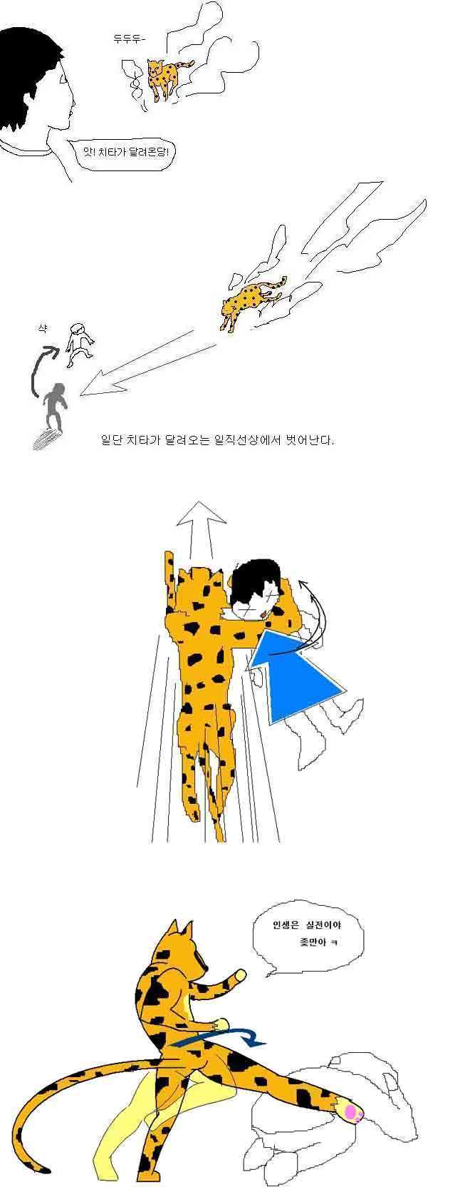 동물들과 1대1 대결에서 이기는 법 | 인스티즈