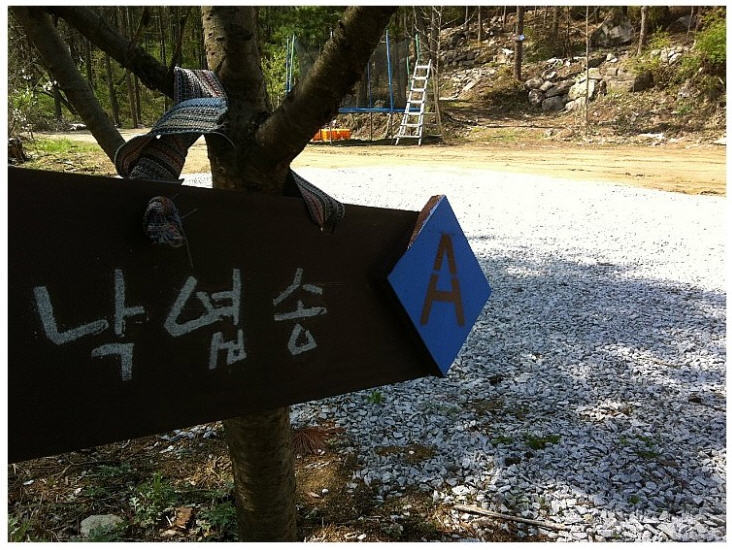 청량산나무네숲캠핑장 이미지