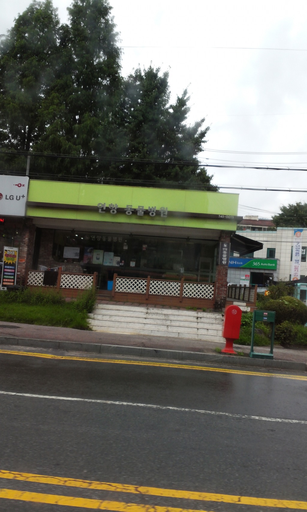 코샷 이미지