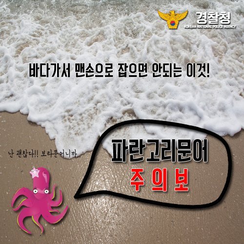 바닷가에서 맨손으로 잡으면 안되는 이것! | 인스티즈