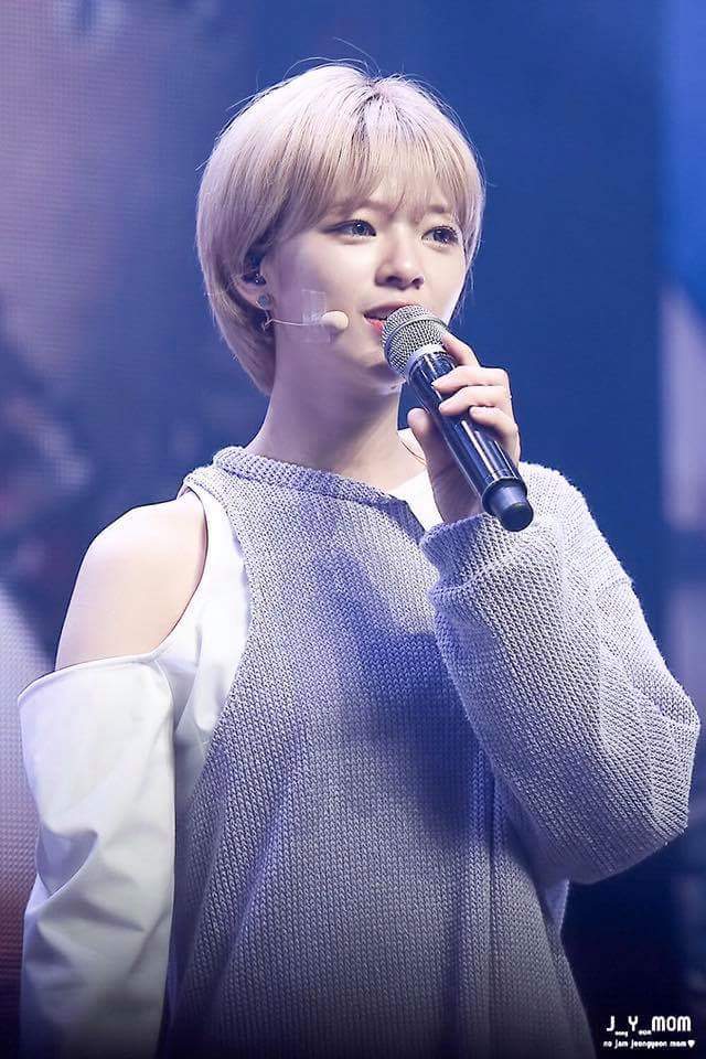 정연이 사나 | 인스티즈