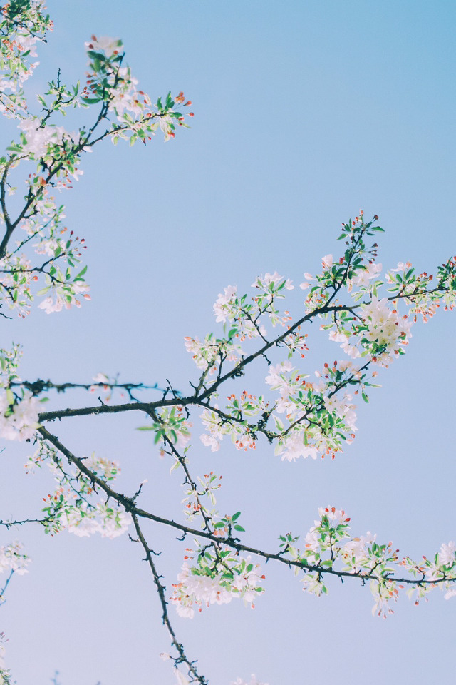 맹인이 5만원을 천원짜리 다섯장으로 바꿔달라고 한다면? | 인스티즈