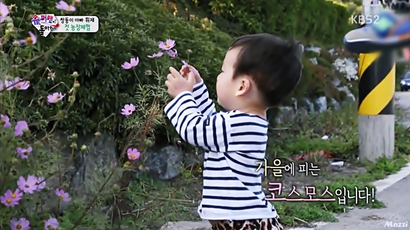 [슈퍼맨이돌아왔다] 자연친화적인 이 시대의 감성 유아 서언이~ㅋ | 인스티즈