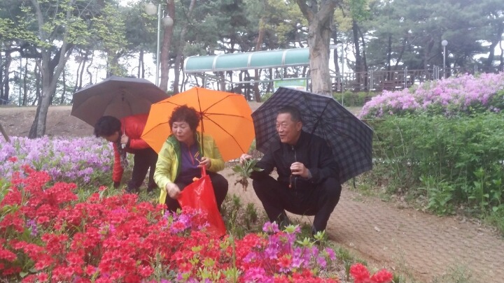 풍년골 이미지