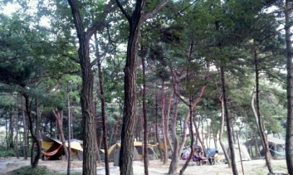 명성가족캠핑촌 이미지