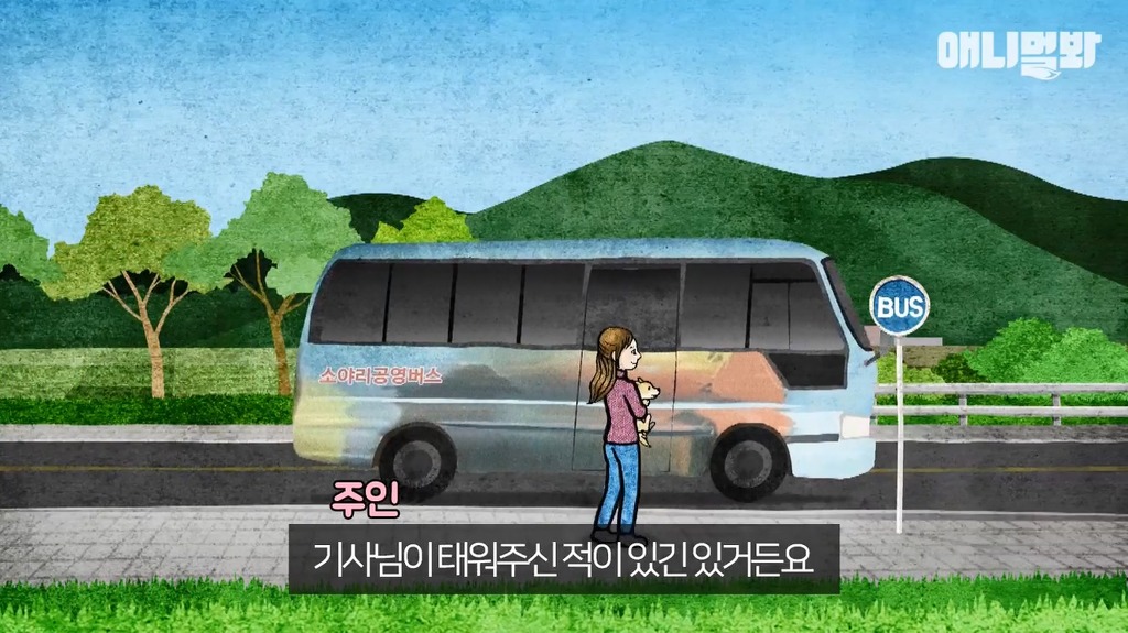 혼자 버스타고 지인 만나러가는 강아지 | 인스티즈