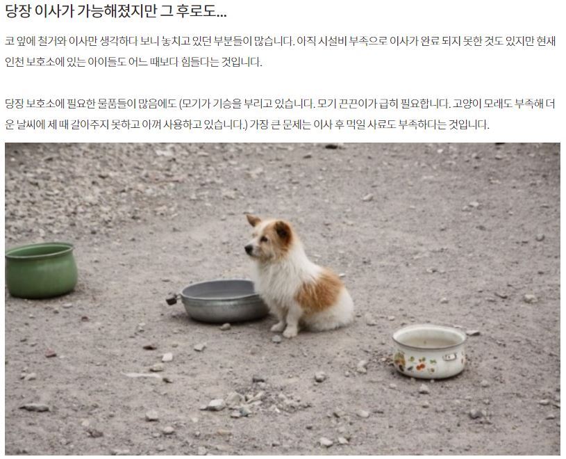 [같이가치모금(달성률87％)] 내사랑바둑이 사설유기동물보호소가 230여마리의 동물들에게 먹일 사료가 부족해 사료비 모금을 하고 있어요 | 인스티즈