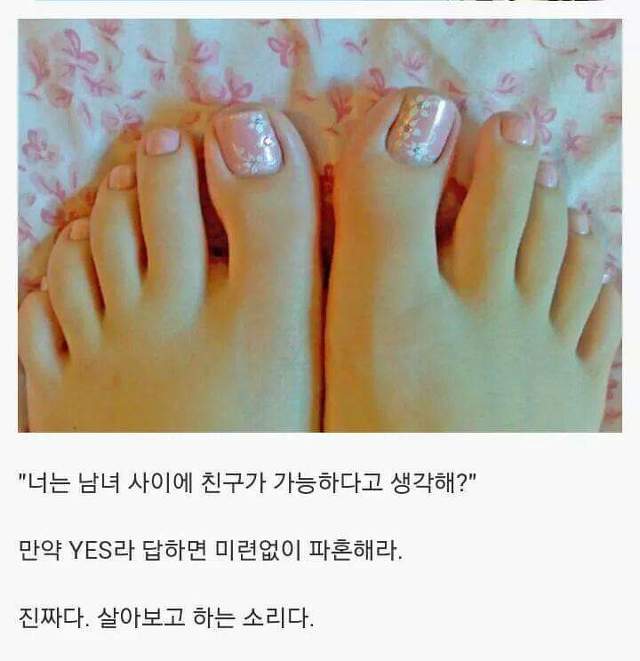 페북에서 댓글로 싸웠던 주제 | 인스티즈