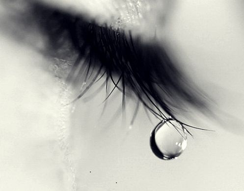 어쩌자고 나는 당신을 사랑한 겁니까 | 인스티즈