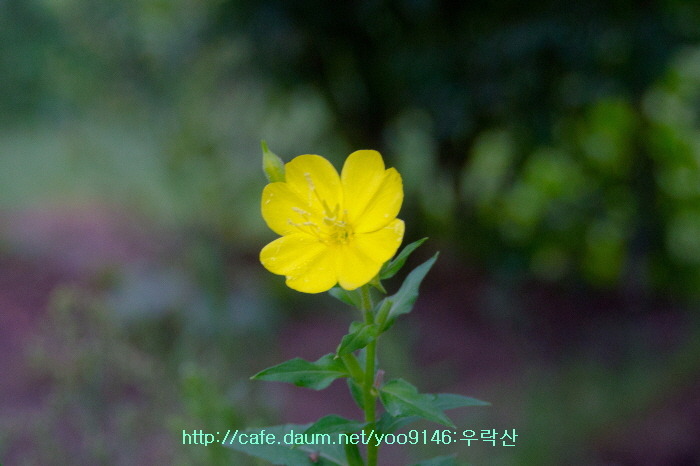 산호장여관 이미지