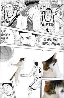 그래 나는 정대만.. | 인스티즈
