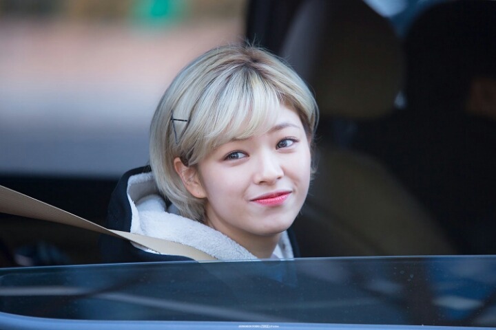 언제 봐도 짱예보스인 트와이스 정연 | 인스티즈