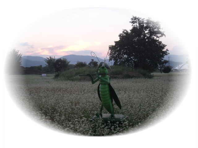 꽃일다 이미지