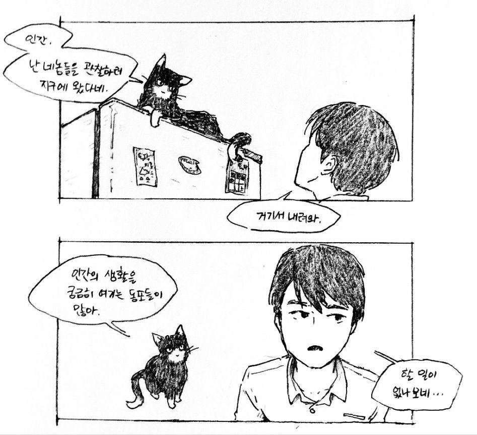 고양이와 동거하는 만화 | 인스티즈