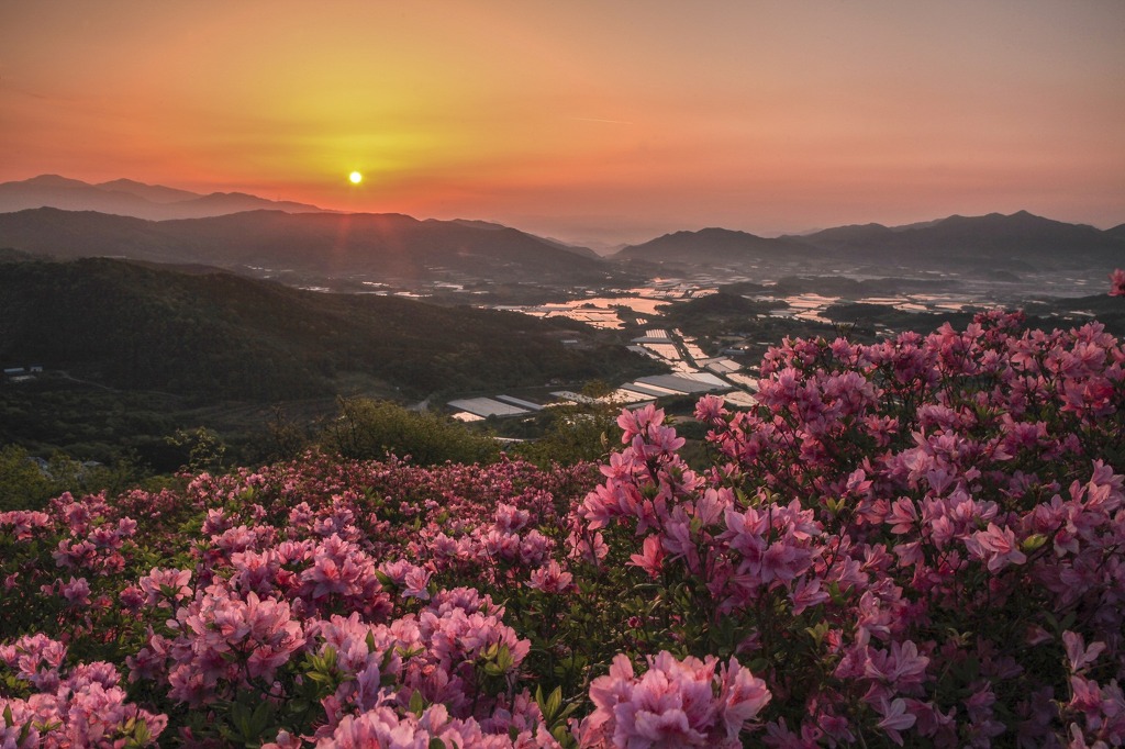 봉화산 이미지