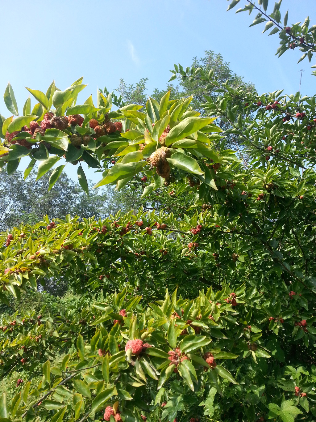준마트 이미지