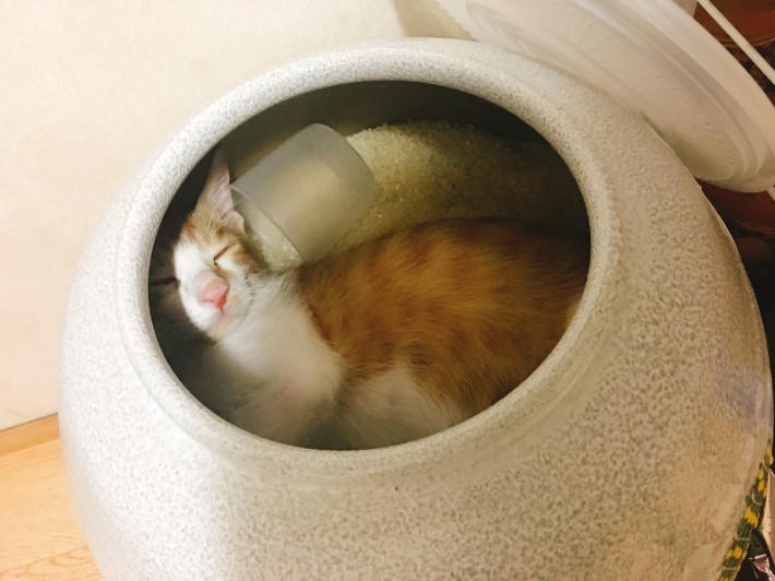 아저씨 이런데서 주무시면 안됩니다 | 인스티즈