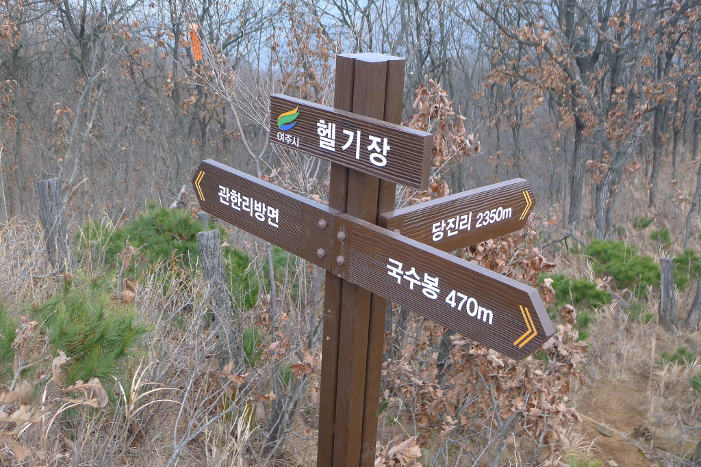 달빛사냥 이미지