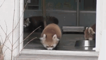 아 씨X! 깜짝이야!!!!!!!!!!!!!!!!!.gif | 인스티즈