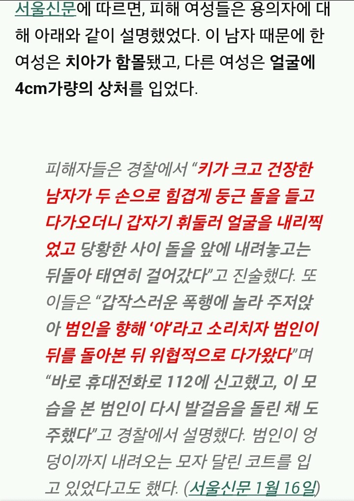  CCTV에 포착된 지나가는 여성 돌로 내리찍은 남자 (15초) | 인스티즈