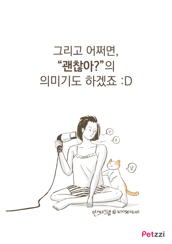 고양이들이 화장실 문앞에 기다리는 이유.jpg | 인스티즈