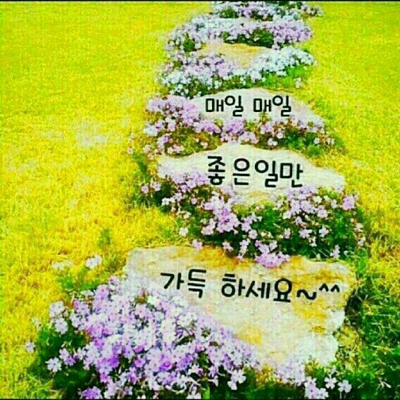 늘꽃길 이미지