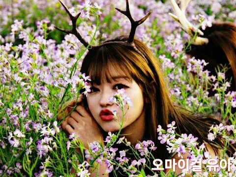 닌텐도와 포켓몬 트레이너의 장구한 싸움 | 인스티즈