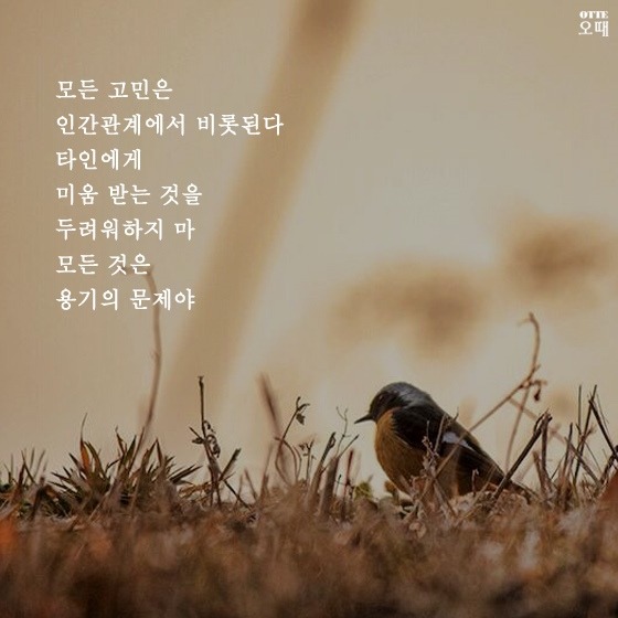 미움받을 용기조차 없는 당신을 위한 소소한 이야기 | 인스티즈