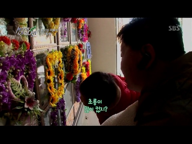 [세상에이런일이] 딸을 업고 오토바이 배달하는 아빠 | 인스티즈