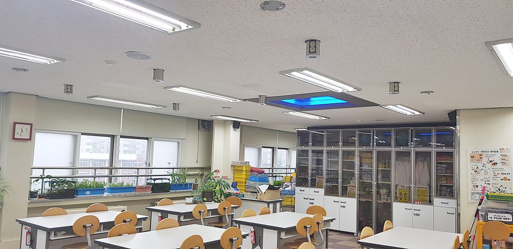 교동초등학교 이미지