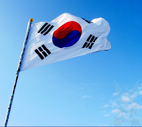 배틀그라운드 기네스 7개 부문 등재 | 인스티즈