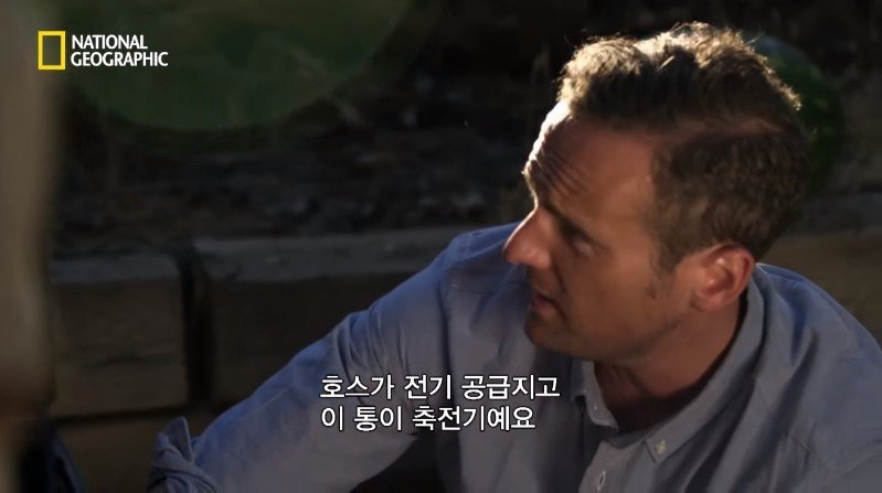 수박 안에 1만 볼트를 내보내면 생기는 일 | 인스티즈