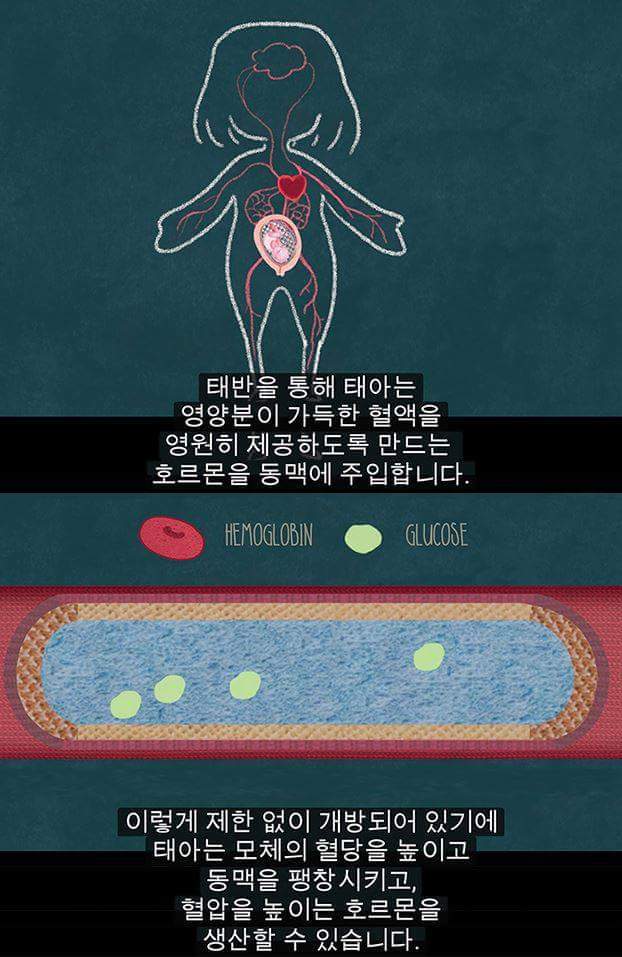 생리를 자궁이 임신을 기다리다가 임신을 하지 못해 실패한 것이라고 배우는 건 철저히 가부장적, 남성중심적 사고이다 | 인스티즈