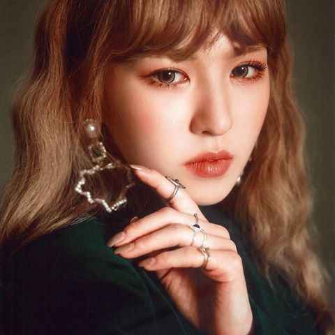 레드벨벳 완뭉이.jpgif | 인스티즈