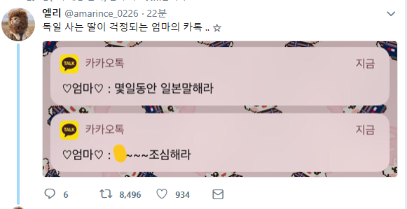 독일에 사는 딸이 걱정되는 어머니.jpg | 인스티즈