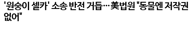 ??? : 원숭이가 찍은 사진으로 돈범 ㅋㅋㅋㅋㅋㅋㅋㅋㅋㅋㅋㅋㅋ | 인스티즈