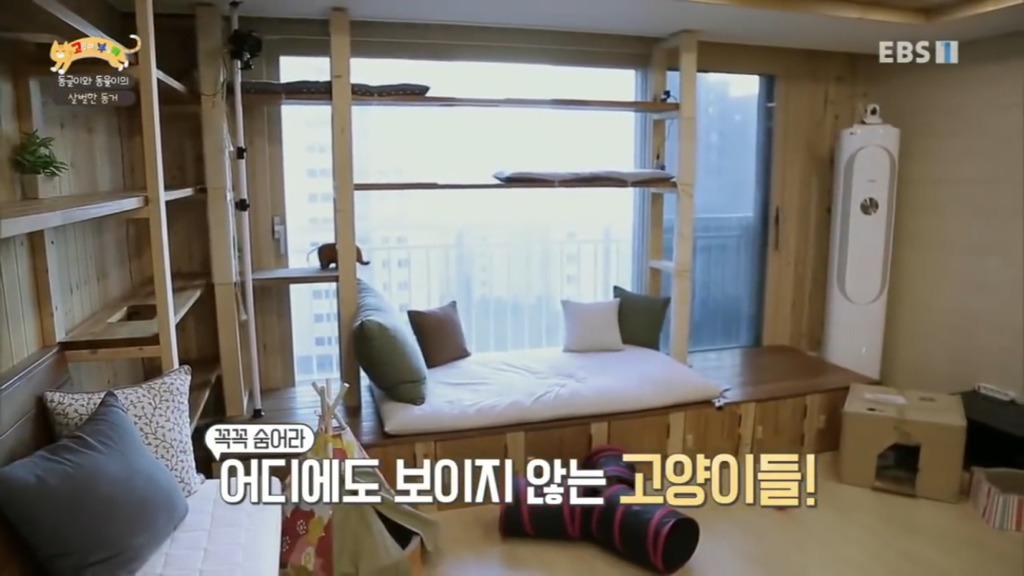 세상에 나쁜 개는 없다 vs 고양이를 부탁해 차이.jpg | 인스티즈