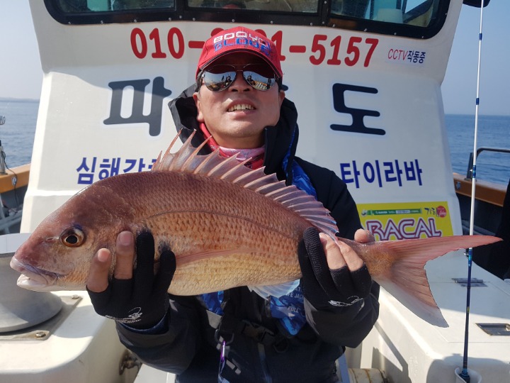 도호 이미지