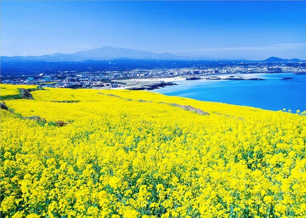 9912973359F09E48285B3C