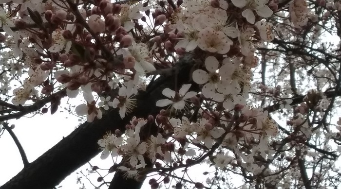 소망식품 이미지