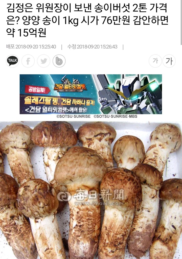 송이버섯 2톤가격 대략15억 | 인스티즈