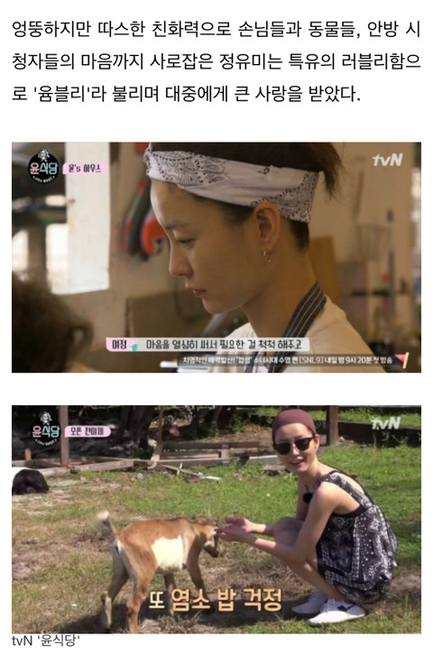 친언니·친누나 삼고 싶은 연예인 5인 | 인스티즈